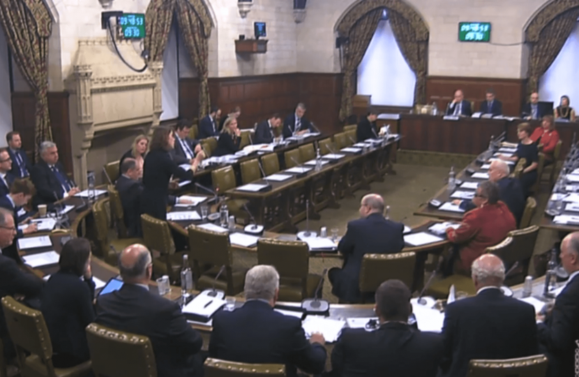 Westminster Hall debate on Surgical Mesh Implants