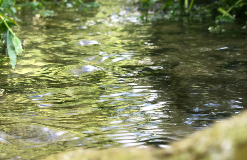 Chalk Stream