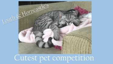 Victoria Atkins launches competition to find Louth & Horncastle's cutest pet