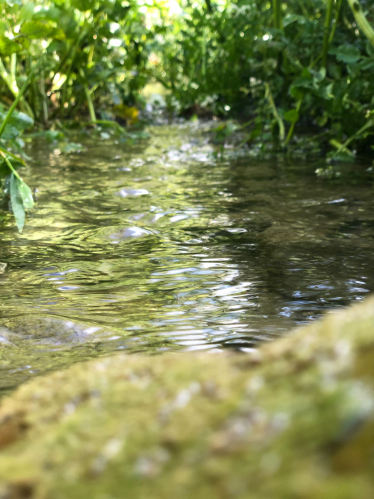 Chalk Stream